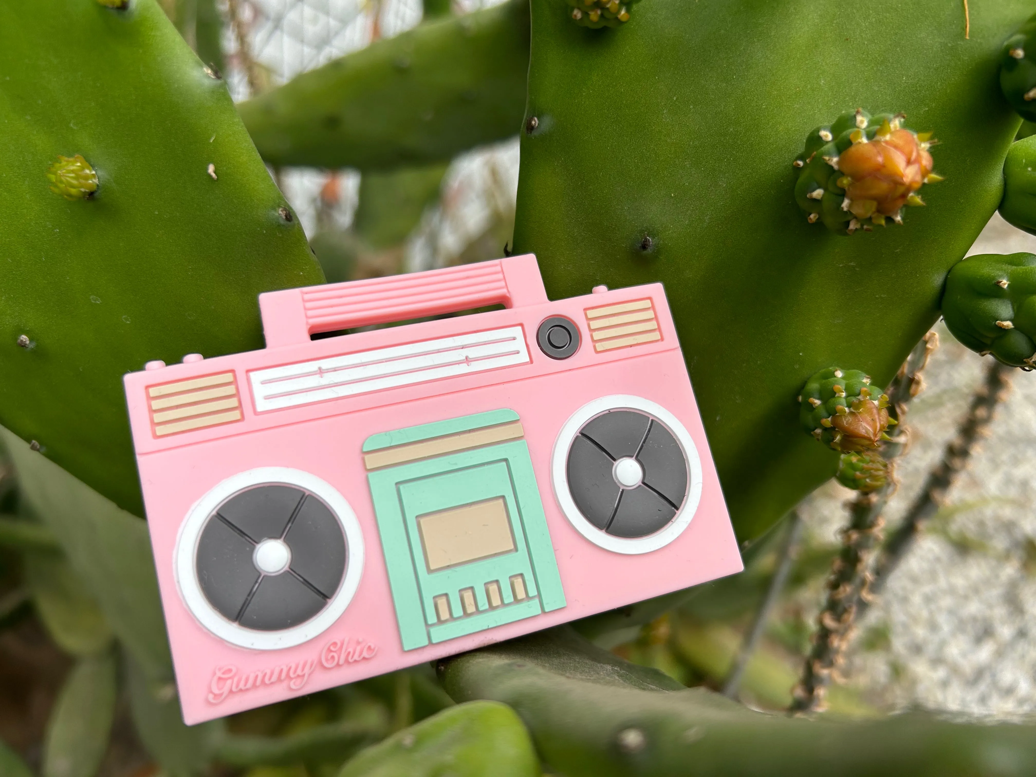 Boom Box Sensory Chew