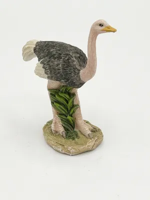 Ostrich