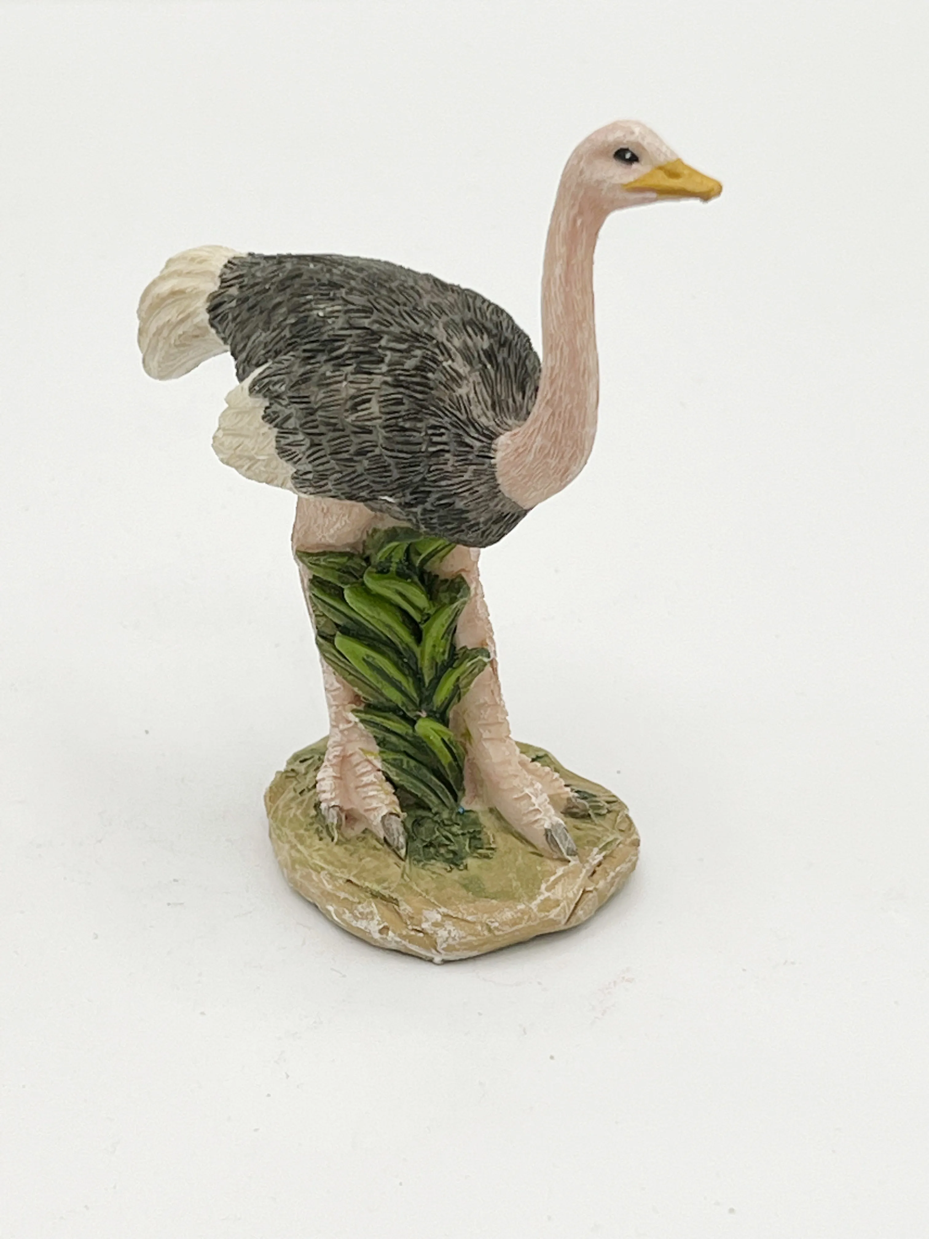 Ostrich