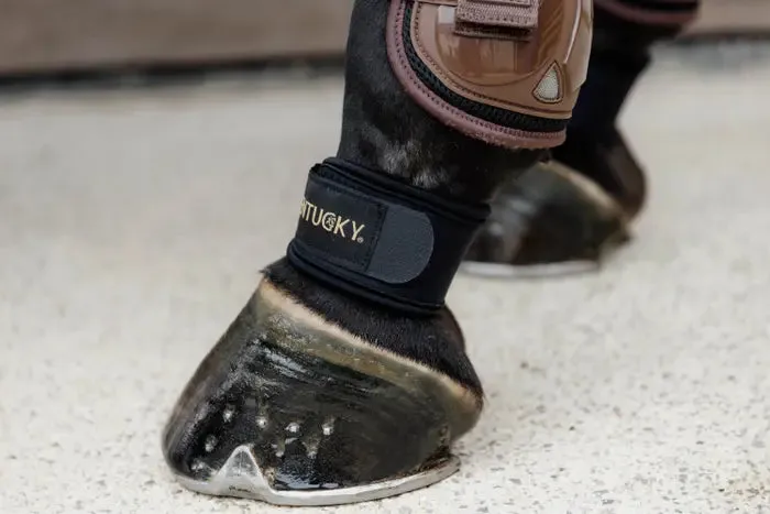 Pastern Wrap by Kentucky