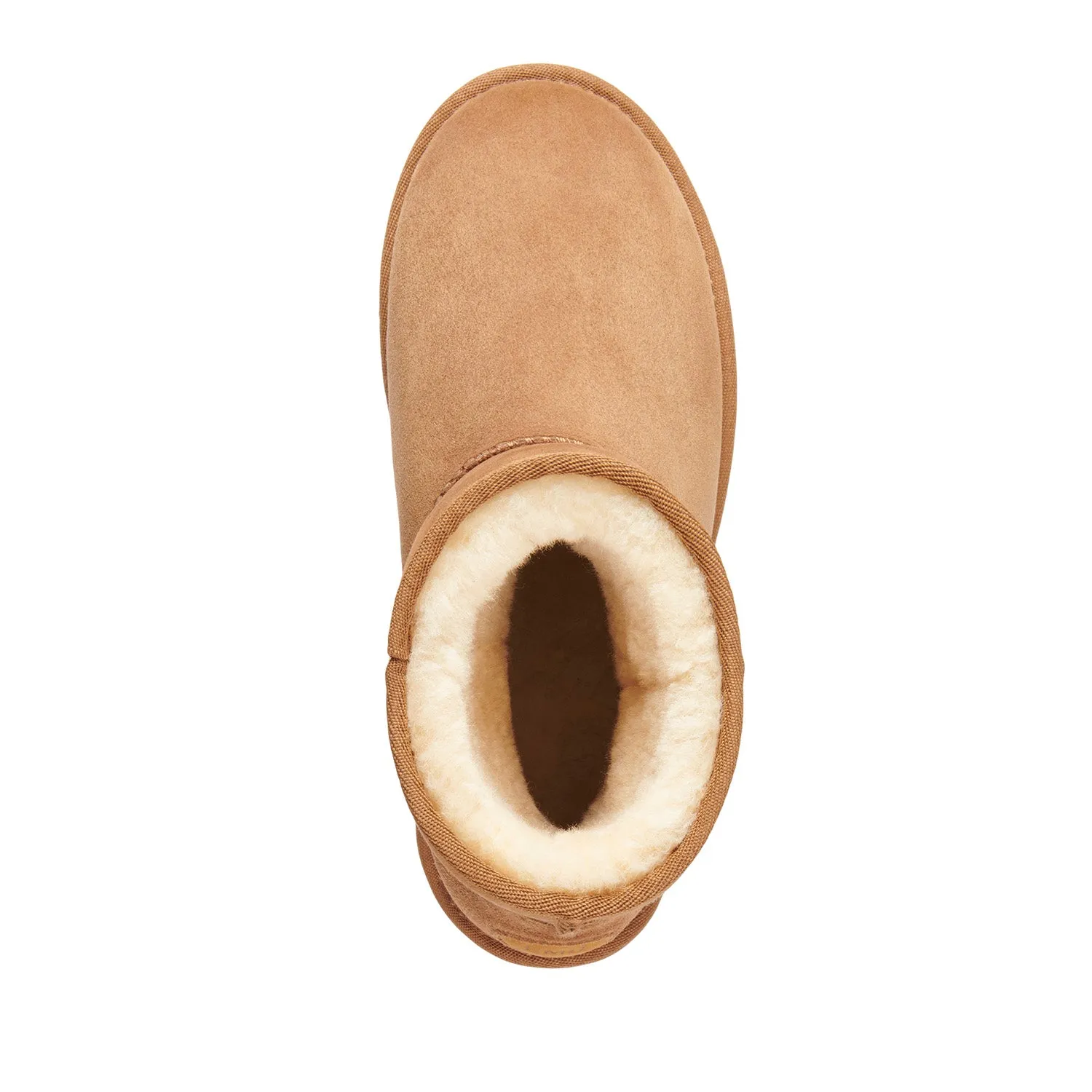 Stinger Mini - Chestnut||Stinger Mini - Châtaigne